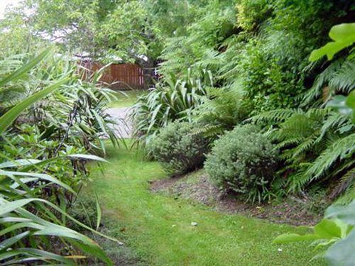 Turangi Trout Lodge Extérieur photo